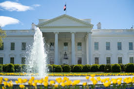 white house https://white-house3.webnode.hu  